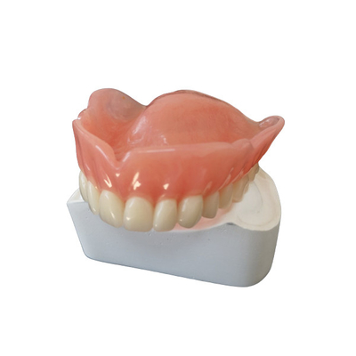 FDA ortodontico smontabile 3D ha stampato il prodotto per lucidare della corona del dente