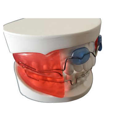 Gli apparecchi ortodontici dentari semplici installano il materiale biologico di alta tecnologia