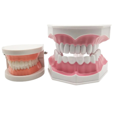 Protesi da laboratorio Impianti dentali otturati dentali Protesi complete per protesi dentarie