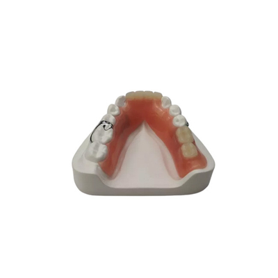 Protesi in resina flessibile Laboratorio odontotecnico Protesi parziali rimovibili in acrilico dentale
