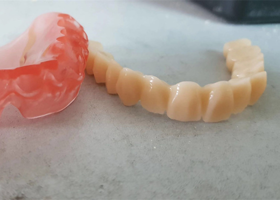 L'OEM realistico 3D di dati di Digital ha stampato i modelli dentari per il dentista Study