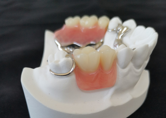 Alta definizione di cad di camma PFM del ponte di superficie liscio su ordinazione della corona
