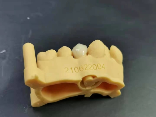 OEM 3D che stampa progettazione dentaria di Digital del laboratorio della protesi dentaria acrilica flessibile