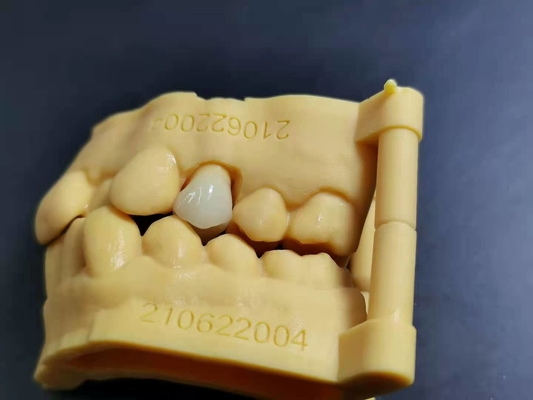 OEM 3D che stampa progettazione dentaria di Digital del laboratorio della protesi dentaria acrilica flessibile