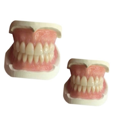 La camma dentaria 3D di gomma del laboratorio della protesi dentaria di cad ha stampato l'ombra di Natrural della corona del dente