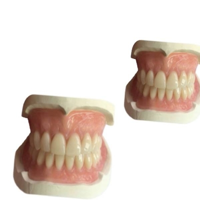 La camma dentaria 3D di gomma del laboratorio della protesi dentaria di cad ha stampato l'ombra di Natrural della corona del dente