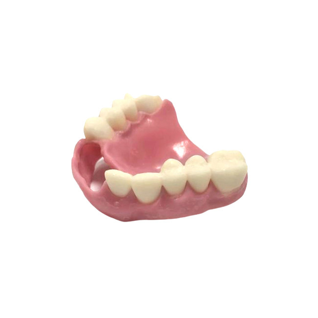 Camma 3D di cad che stampa il laboratorio dentario della protesi dentaria naturale di colore delle protesi dentarie