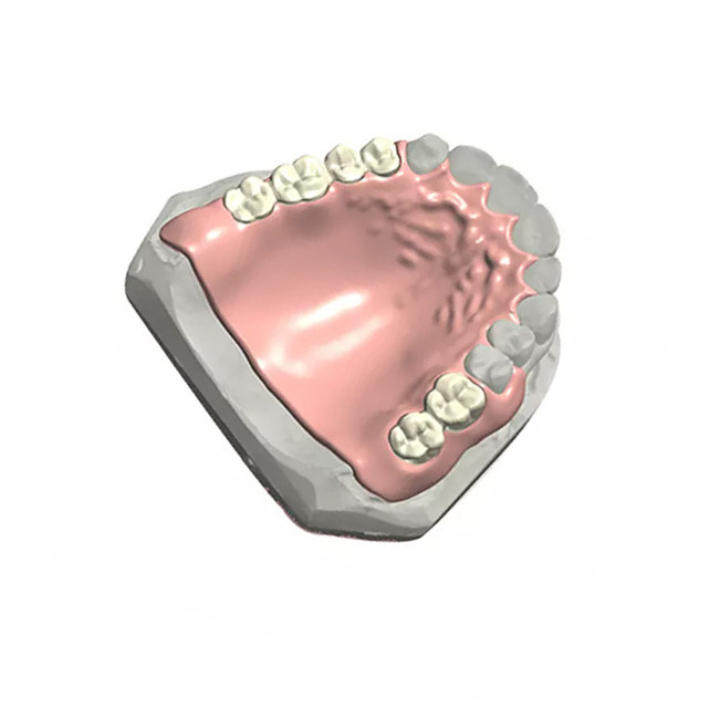 Modello dentario naturale Customized di colore 3D della protesi dentaria parziale dentaria smontabile